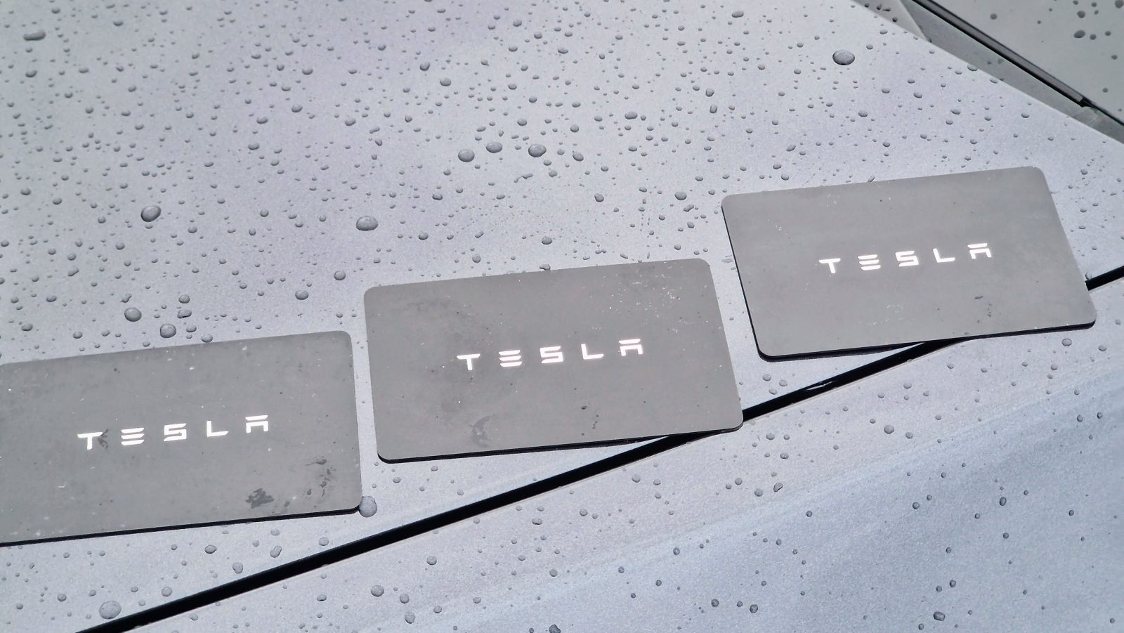 Tesla Model Y Standard